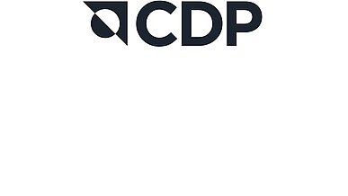 Die Schreiner Group wurde von CDP als Supplier Engagement Leader eingestuft.