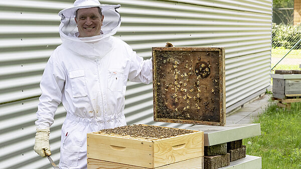 The group of beekeepers takes care of the welfare of the animals throughout the year.