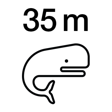 Eine Grafik zeigt, wie groß die Maschinen sind, mit denen die Schreiner Group Hightech-Labels produziert.